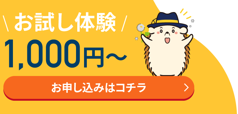 お試し体験1,000円～お申込みはコチラ